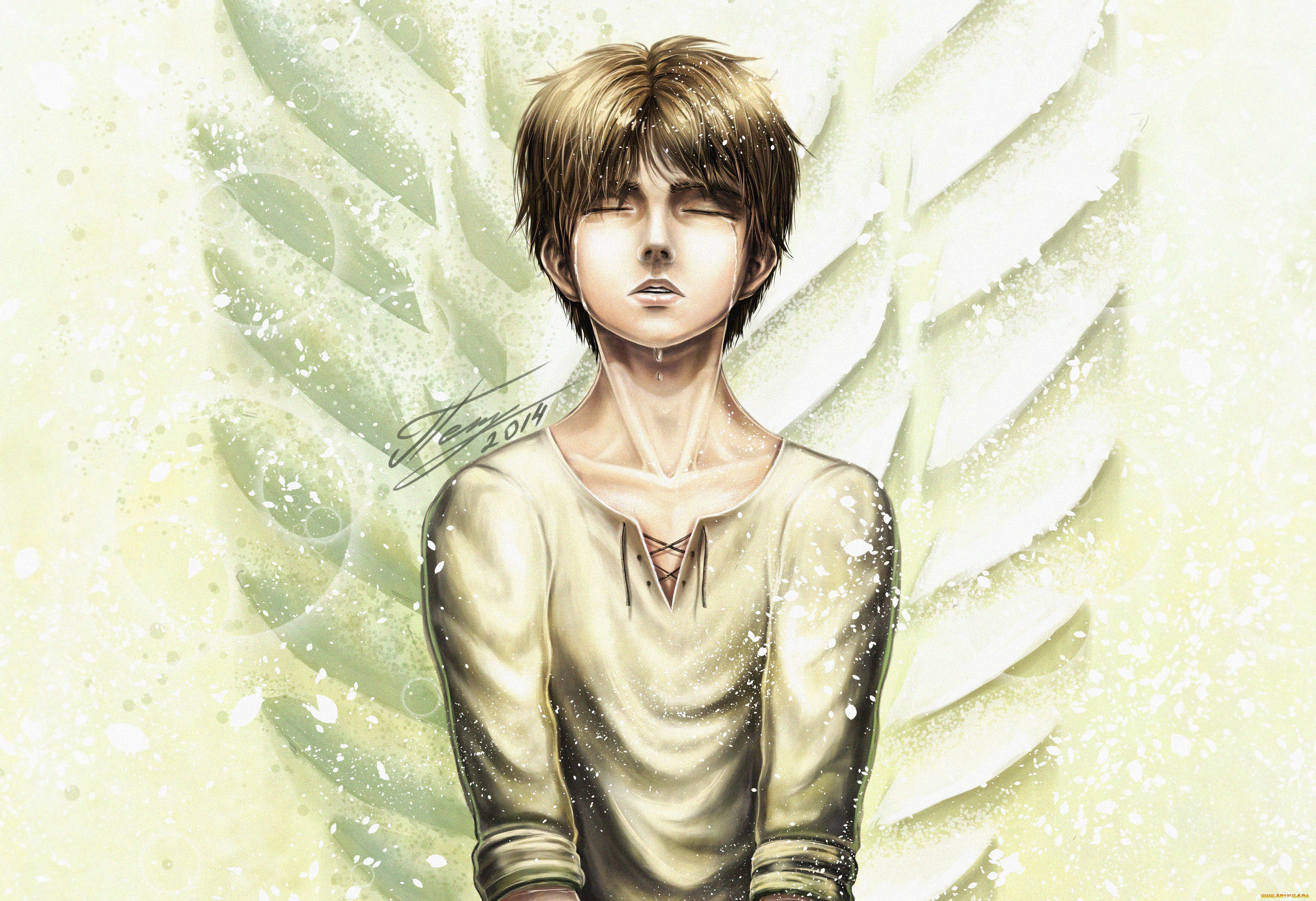 , shingeki no kyojin, 